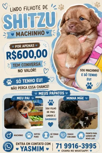 FILHOTE DE SHITUZ!!