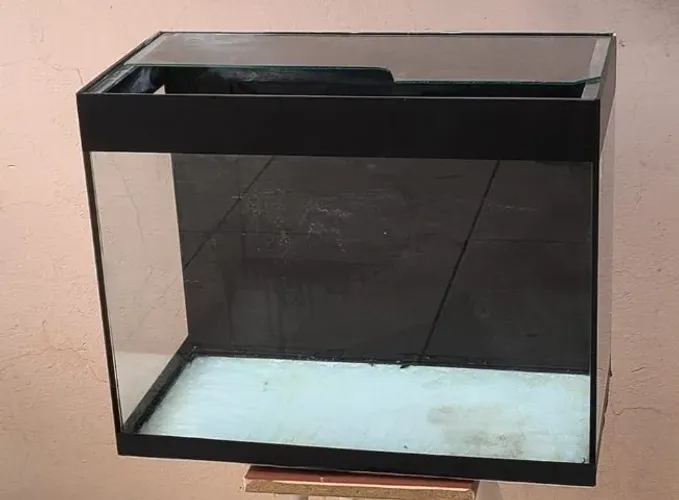 Aquário para peixes ornamentais 50l