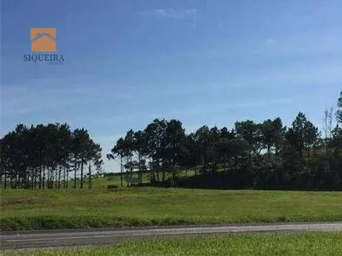 Área, 10900 m² - venda por R$ 3.900.000,00 ou aluguel por R$ 10.000,00/mês - Castelo Branc