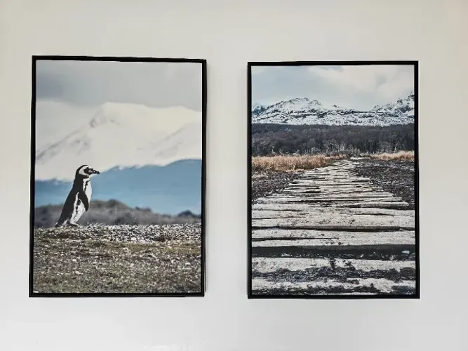 Kit de Dois Quadros em Canva 100% algodão 50x70