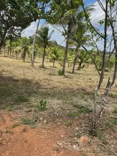 80.000 Metros Para Lazer e Ganhar Dinheiro em Glória do Goitá - PE
