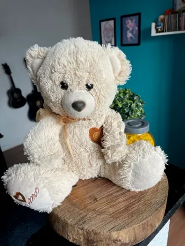 Urso de Pelucia 50cm - Usado