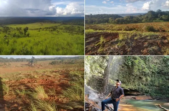 Fazenda 50 Alqueires Cachoeira Sitio Roça Chacara Alqueire Venda Tocantins