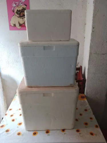 Caixas de isopor 15 reais cada uma
