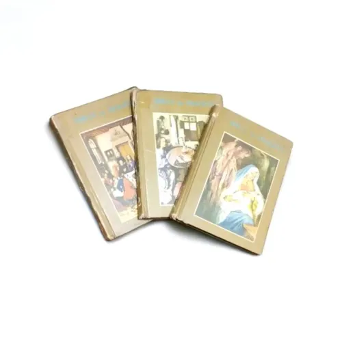 Livros A bíblia em imagens 