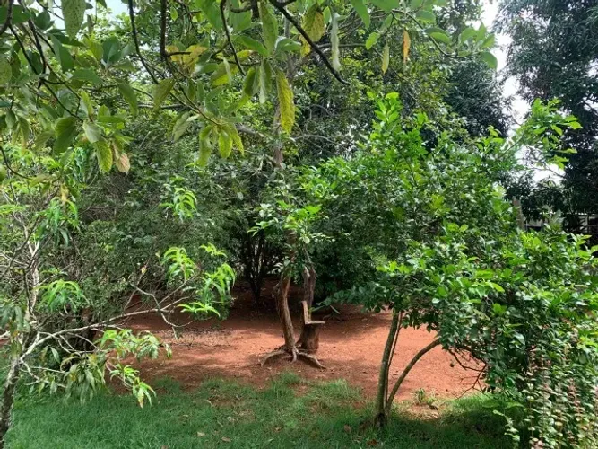 Chácara de 1.000m² plantada de arvores frutíferas, em frente a uma reserva ecológica.