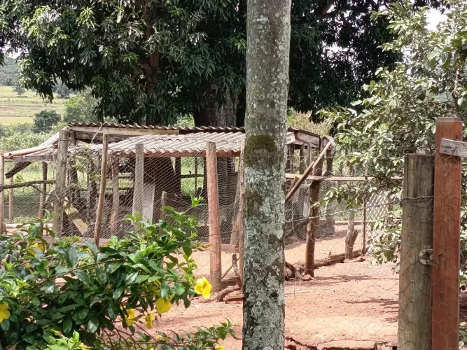 Sítio próximo Uberlândia 28 hectares