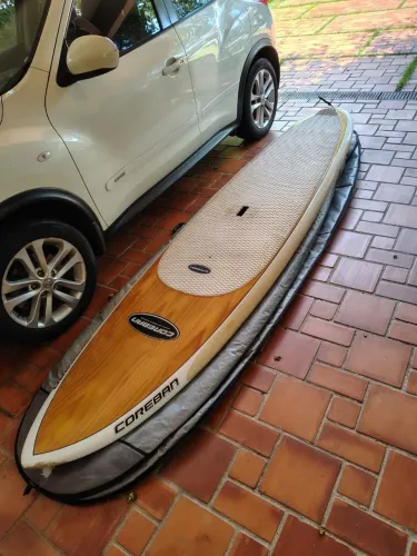 Stand UP sup hawaiano 10.3