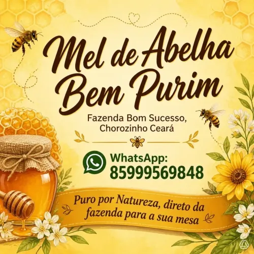 Vendo mel de Abelha puro. Direto da fazenda para a sua mesa.