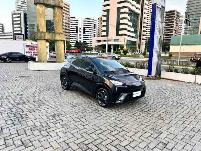 BYD Dolphin Mini (Elétrico) 2027