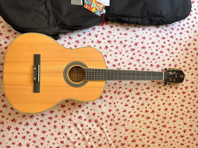 Violão Tagima Paraty Clássico Nylon Natural Satin