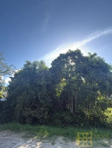 Terreno - Bombinhas SC