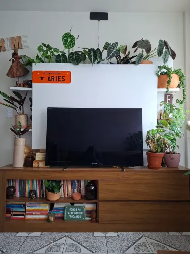 Rack TV