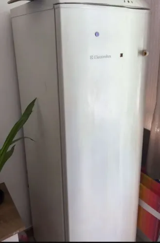 Freezer Vertical Electrolux