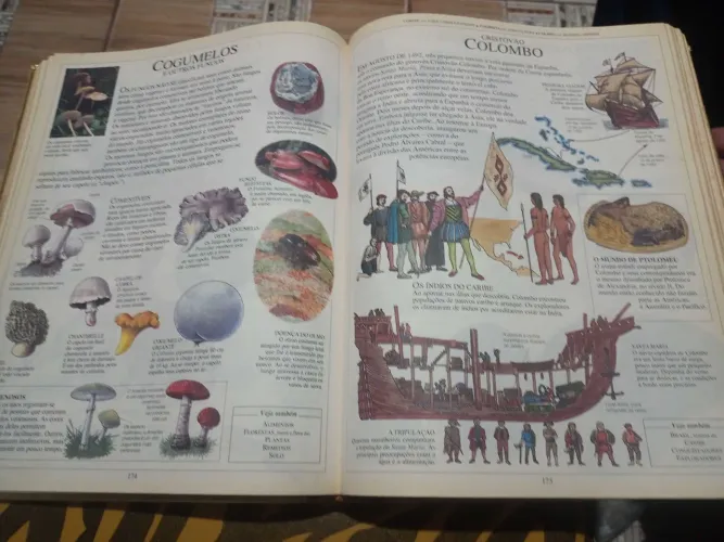 Livro Enciclopédia