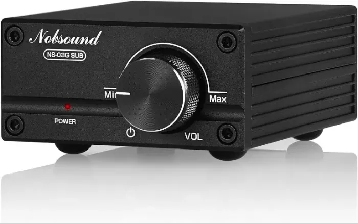 Amplificador para Subwoofer (100 watts)