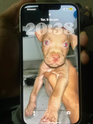 iPhone 13 128g