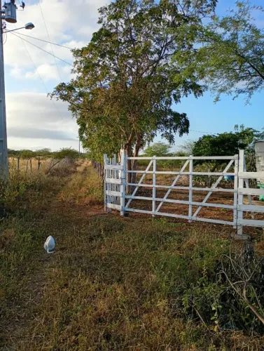 Terreno de 6 Hectares à Venda ? Sítio Santa Margarida/RN