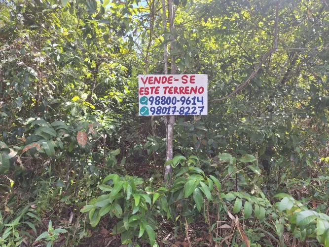 Dois terrenos em Marapanim PA