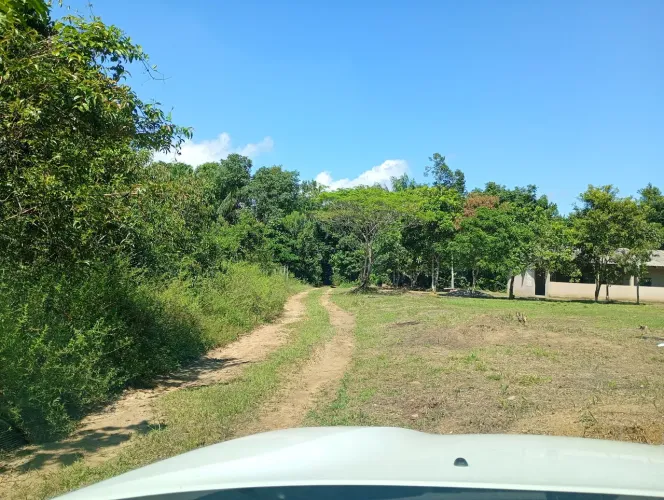 Transfiro lote 20x50 no km 2 do ramal do Açutuba