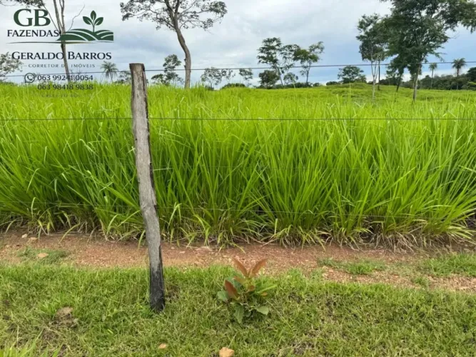 Linda Fazenda Pronta pra mora