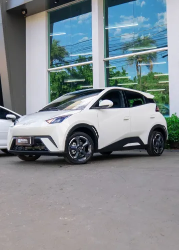BYD Dolphin GS (Elétrico) 2025