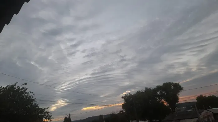 Preciso de uma babá urgente 