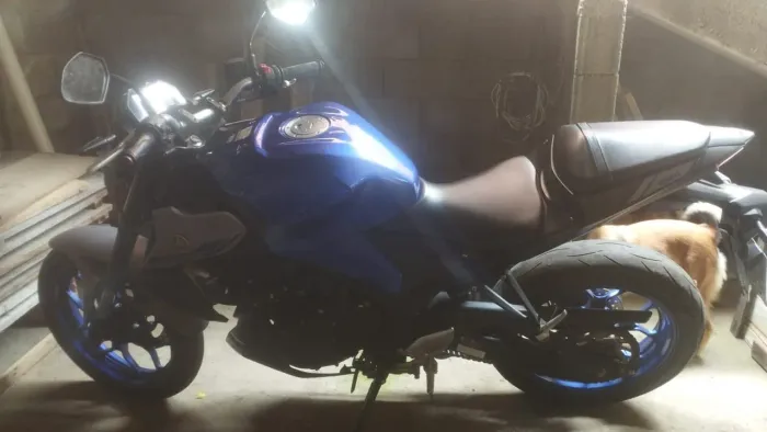 MT 03 