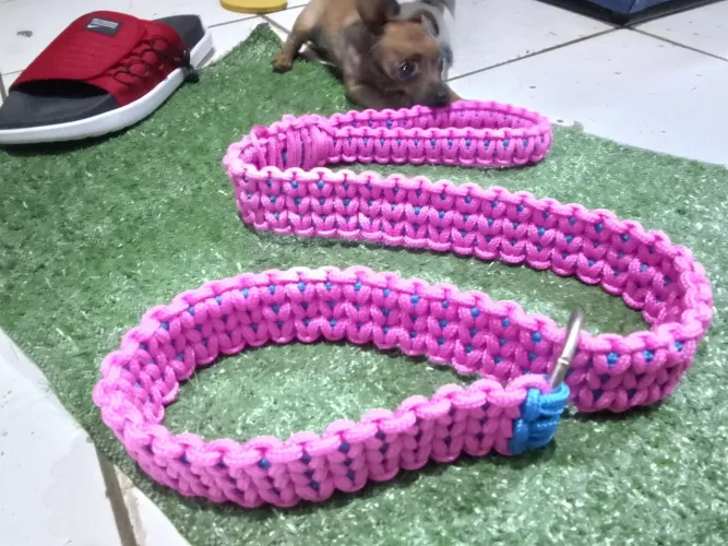 Guias artesanais Pitbull pitmonster porte grande 