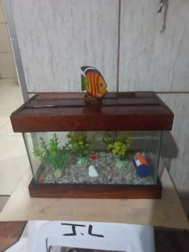 Aquário completo.