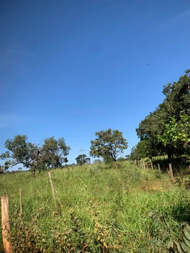 ARRENDAMENTO TERRENO