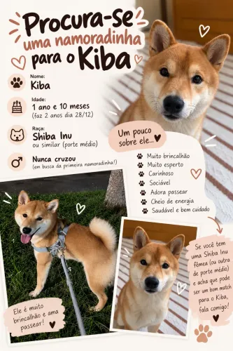 Procura-se namorada para o Kiba