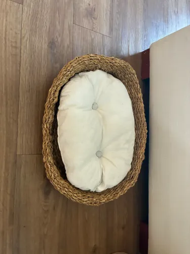 Cama Pet