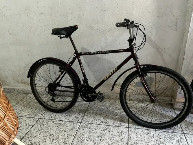 Bicicletas 