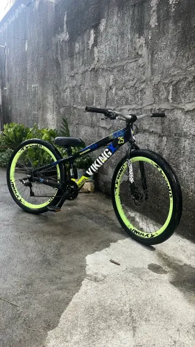 VIKINGX 25