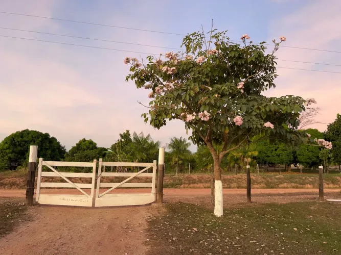 CHÁCARA A VENDA - SÃO JOÃO DO ARAGUA - PARÁ
