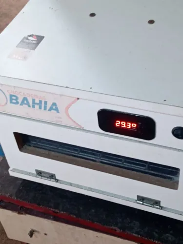 Chocadeira elétrica pra vender logo 199$ *