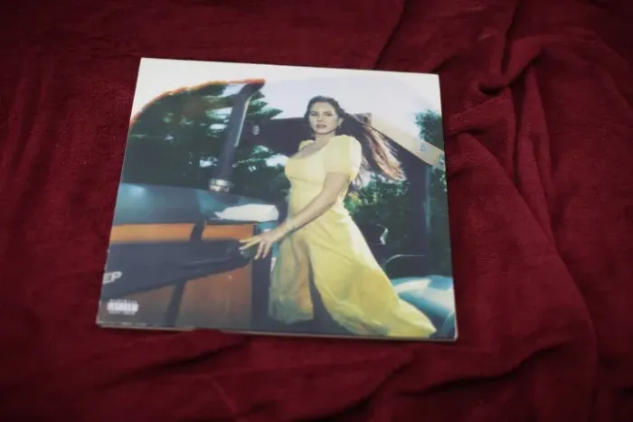 Lp vinil Lana Del Rey - Blue Banisters vermelho