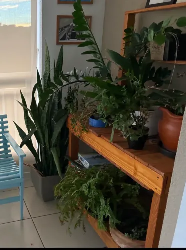 Jardineira em madeira linda!!