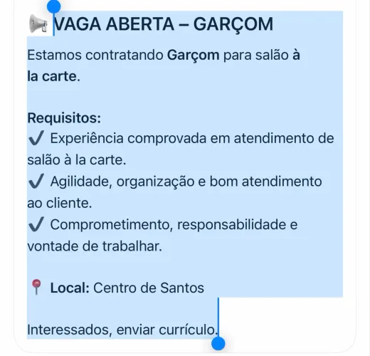 Garçom 