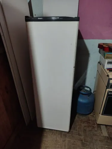 Freezer Vertical Consul