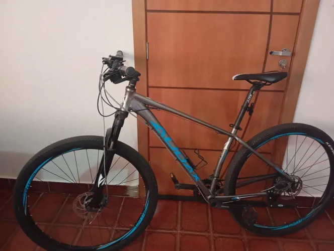 Bike Audax aro 29