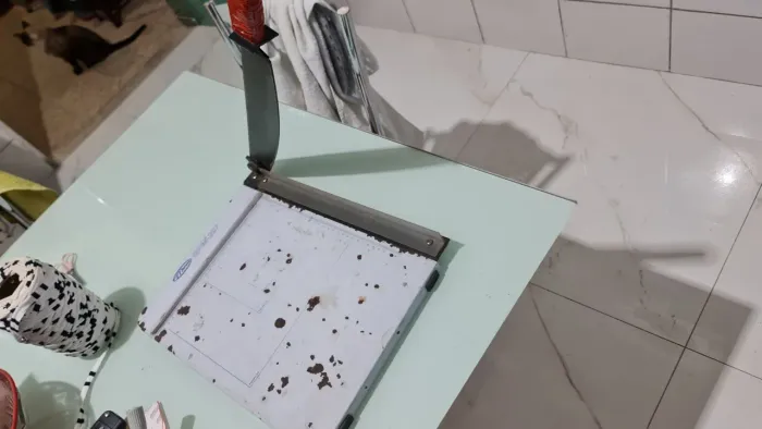 Cortador de papel