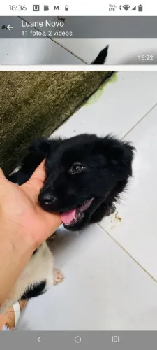 Doação