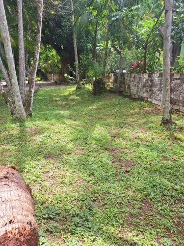 Sitio a venda