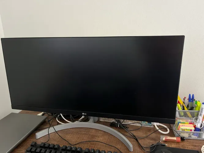 Monitor LG 29?