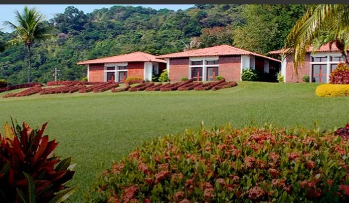 Jazigo jardim da saudade