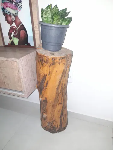 Tronco rústico + Vaso com plantade são jorge