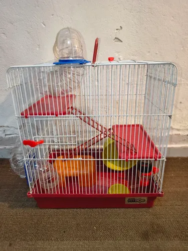 Gaiola completa para hamster