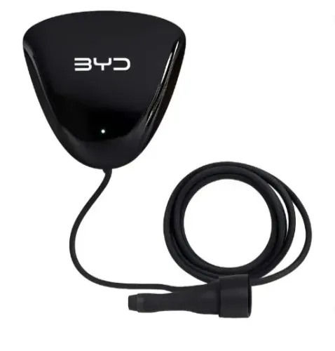 Wallbox BYD Dolfhin Mini